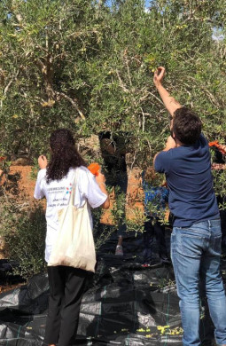 جانب من حملة إسناد المزارعين