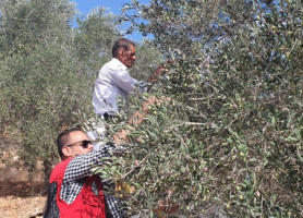 جانب من حملة إسناد المزارعين