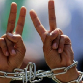 في يوم الاسير الفلسطيني  المنظمات الاهلية تطالب بفتح تحقيق دولي في جرائم الاحتلال واتخاذ الخطوات الجدية لحماية الاسرى