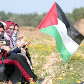 شبكة المنظمات الاهلية الفلسطينية  نداء عاجل للمؤسسات الاممية لحماية المراة الفلسطينية من ظلم وعنف الاحتلال بكل اشكاله