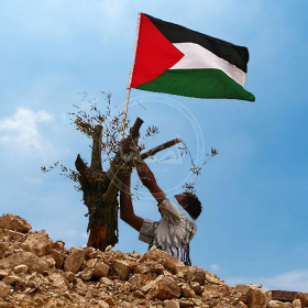 المنظمات الاهلية: يوم الارض مناسبة للتمسك بها والعودة اليها وتعزيز الصمود الشعبي في مواجهة التطهير العرقي