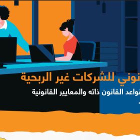 الواقع القانوني للشركات الغير ربحية