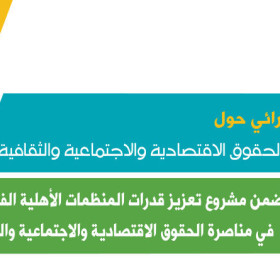 مناصرة الحقوق الاقتصادية والاجتماعية والثقافية