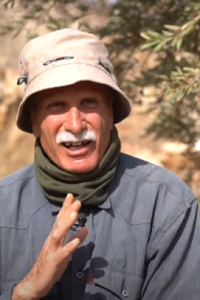 شبكة المنظمات الأهلية الفلسطينية - القطاع الزراعي