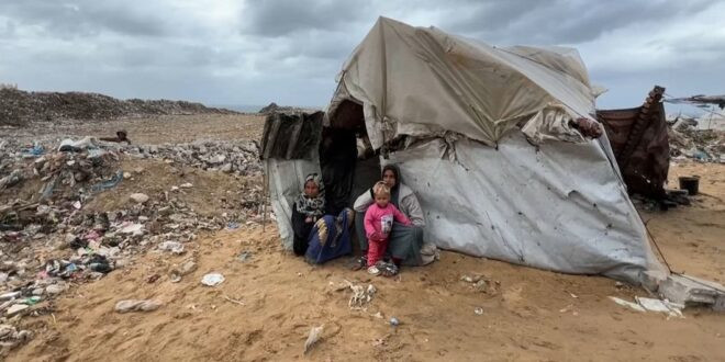 المنظمات الاهلية:الوضع الانساني الكارثي في القطاع يتطلب خطة استجابة شاملة وفورية