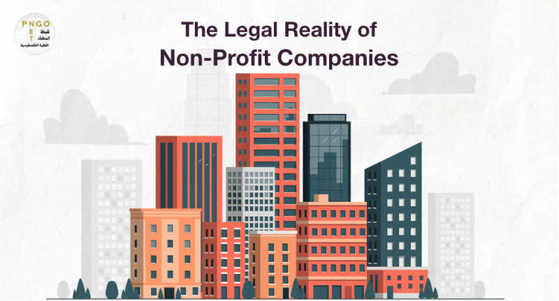 The Legal Reality of Non-Profit Companies