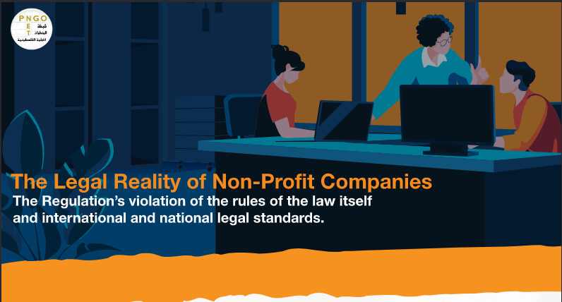 The Legal Reality of Non-Profit Companies