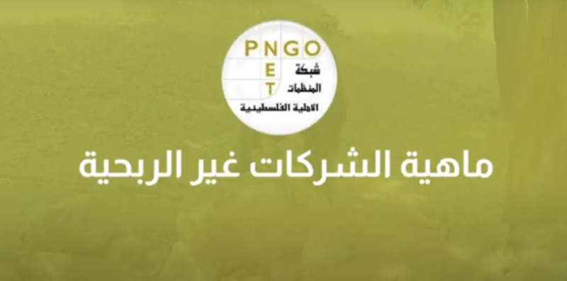 ماهية الشركات غير الربحية