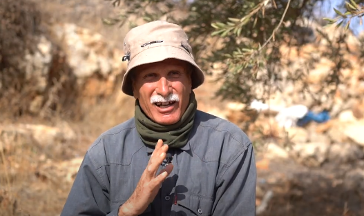 شبكة المنظمات الأهلية الفلسطينية - القطاع الزراعي