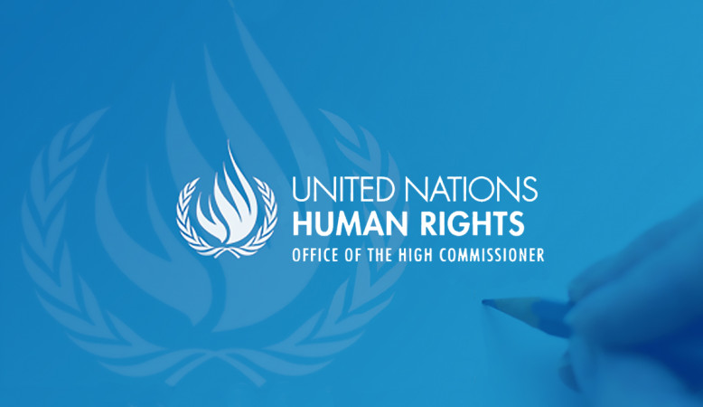 Open Letter to Ms. Alexandra Xanthaki, UN Special Rapporteur in the Field of Cultural Rights